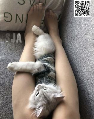 亚洲另类天堂_720手机在线看